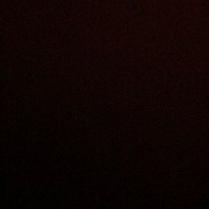 Meet your Posher, Larissa